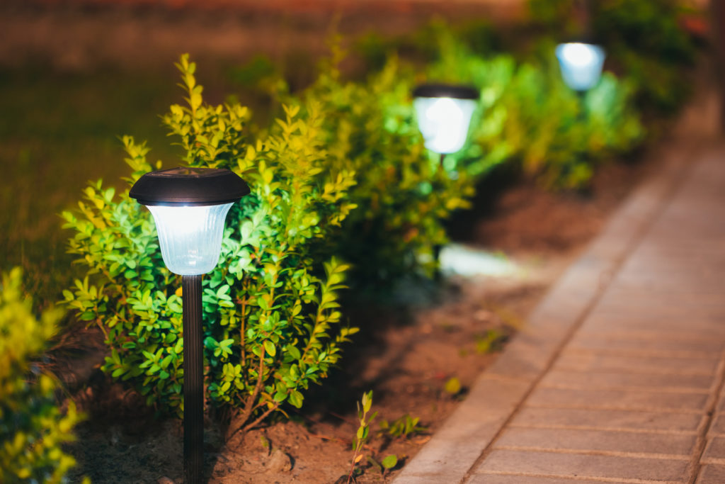 Small garden lights between plants illuminating a walkway.